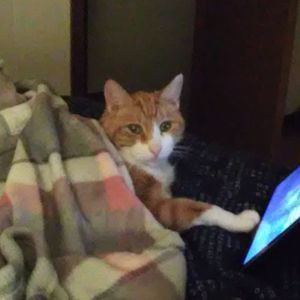 Meet your Posher, Nancy